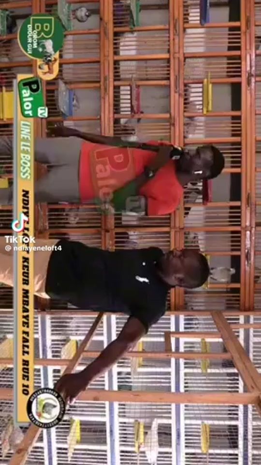 TikTok video thumbnail by ndiayeneloft4