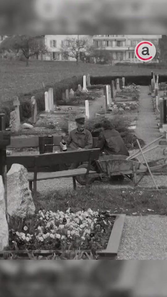 TikTok video thumbnail by citoyendumonde03