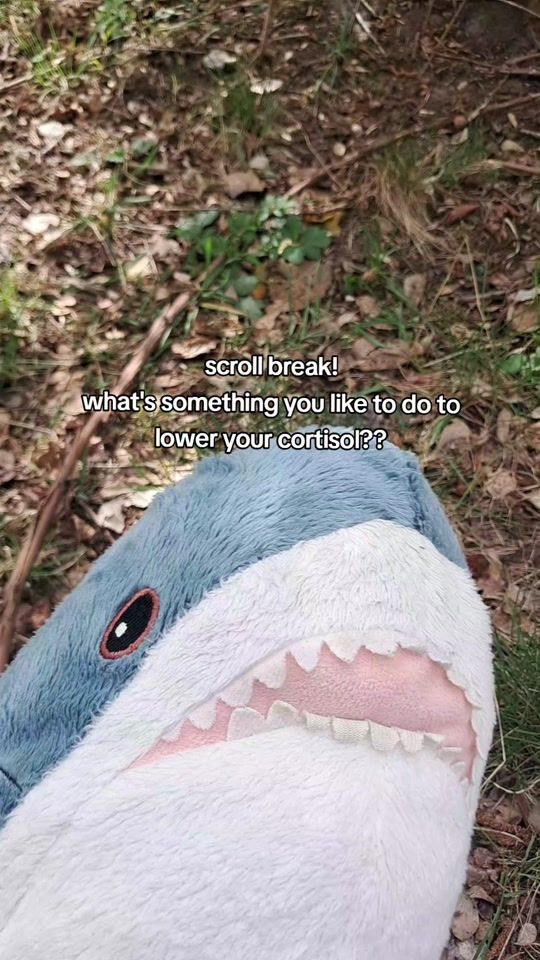 TikTok video thumbnail by willy_theshark