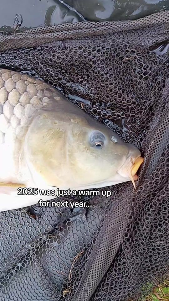 TikTok video thumbnail by fishing_jaimy