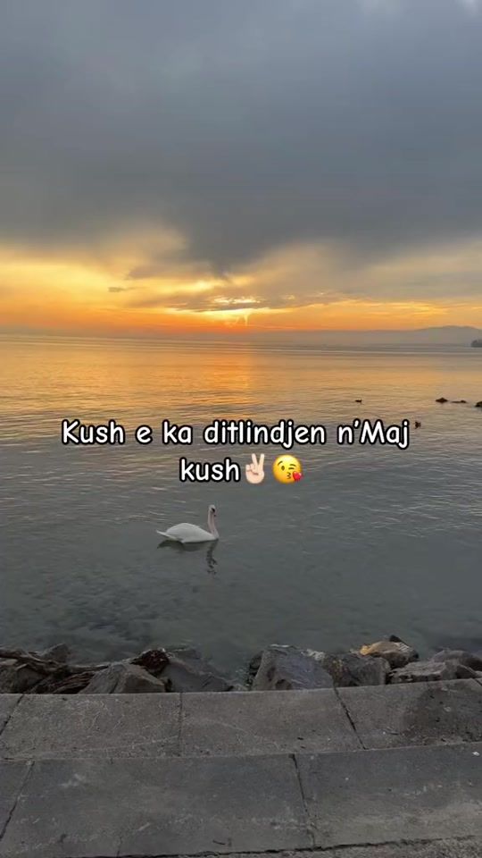 TikTok video thumbnail by user19140802