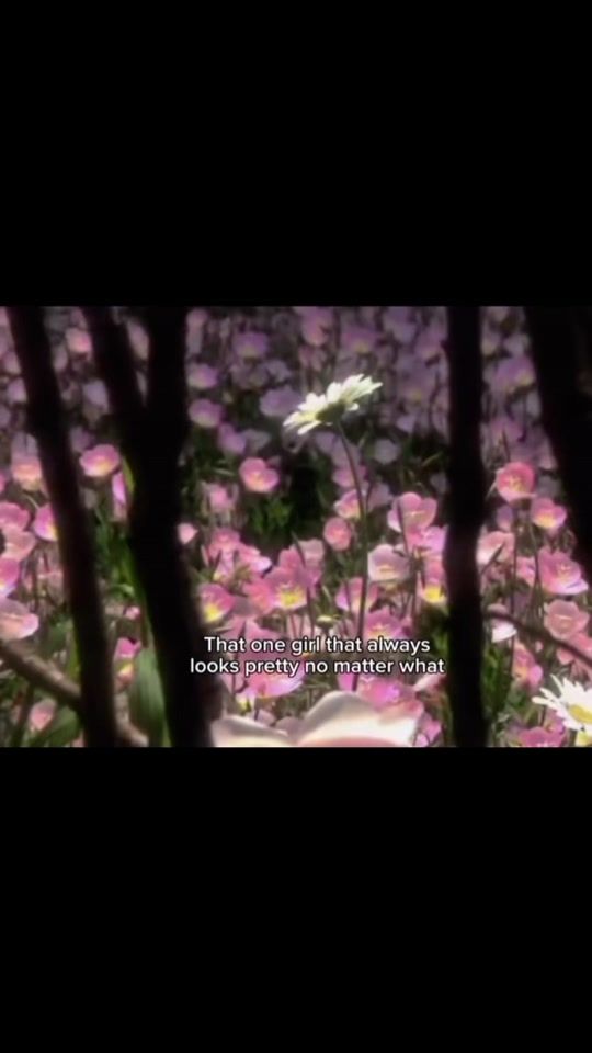 TikTok video thumbnail by catloverr1231