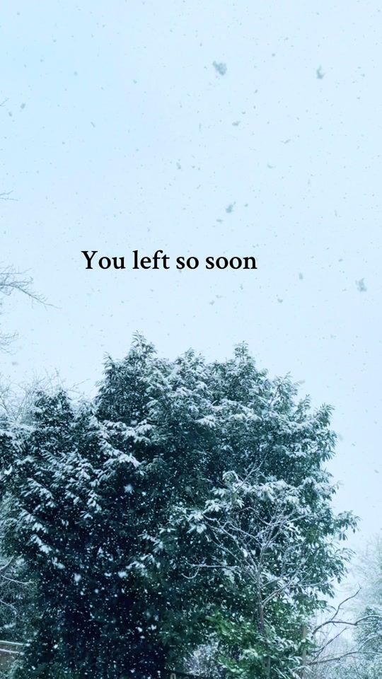 TikTok video thumbnail by sibling.loss8