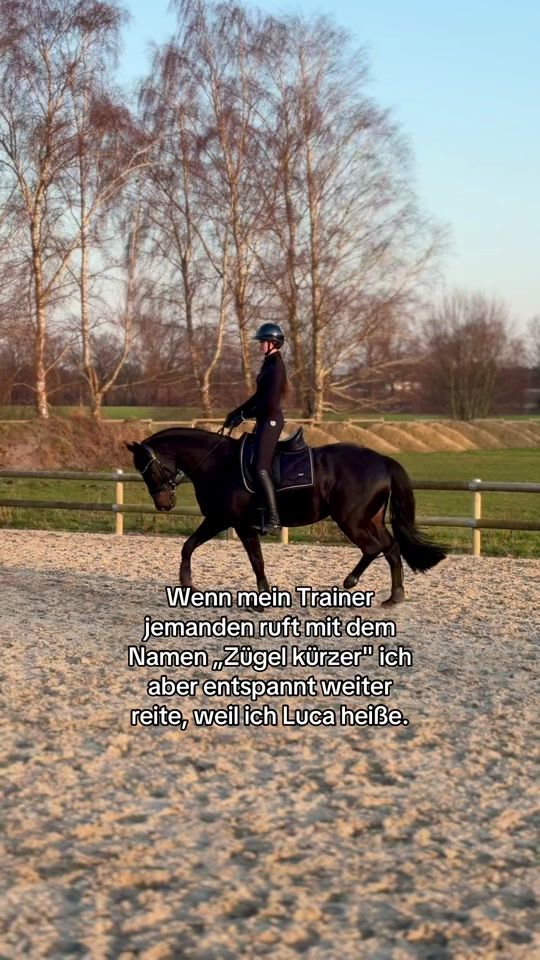 TikTok video thumbnail by lucaa.equestrian