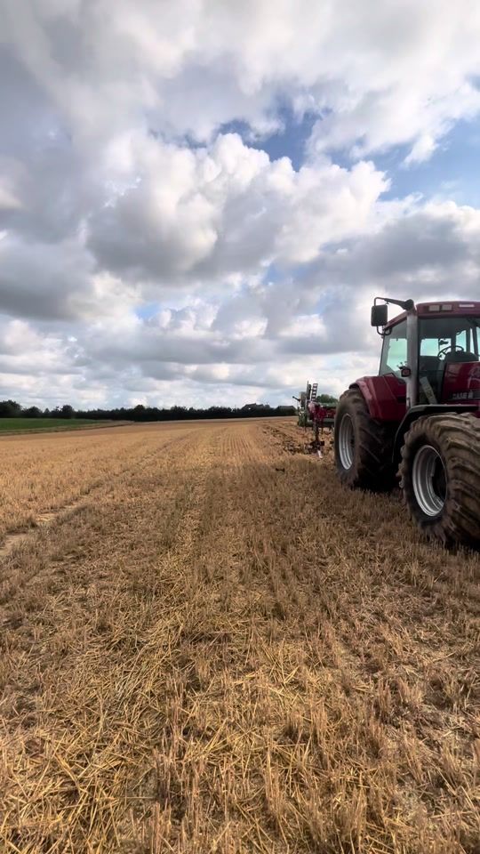 TikTok video thumbnail by tomvanderroost