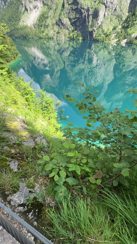 TikTok video thumbnail by alexcarp619