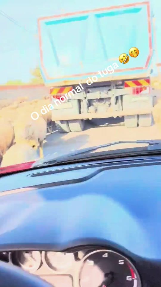 TikTok video thumbnail by carlnhax