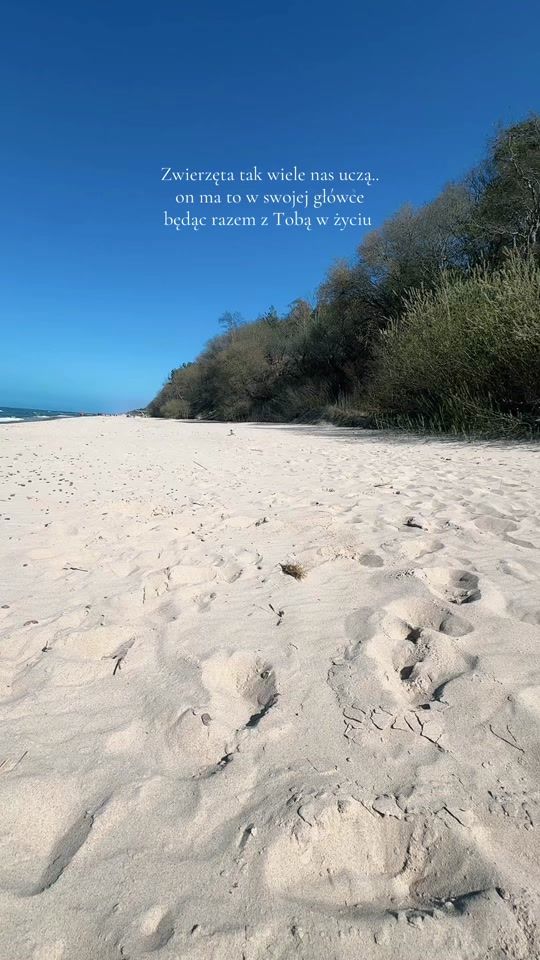 TikTok video thumbnail by it.snottrue