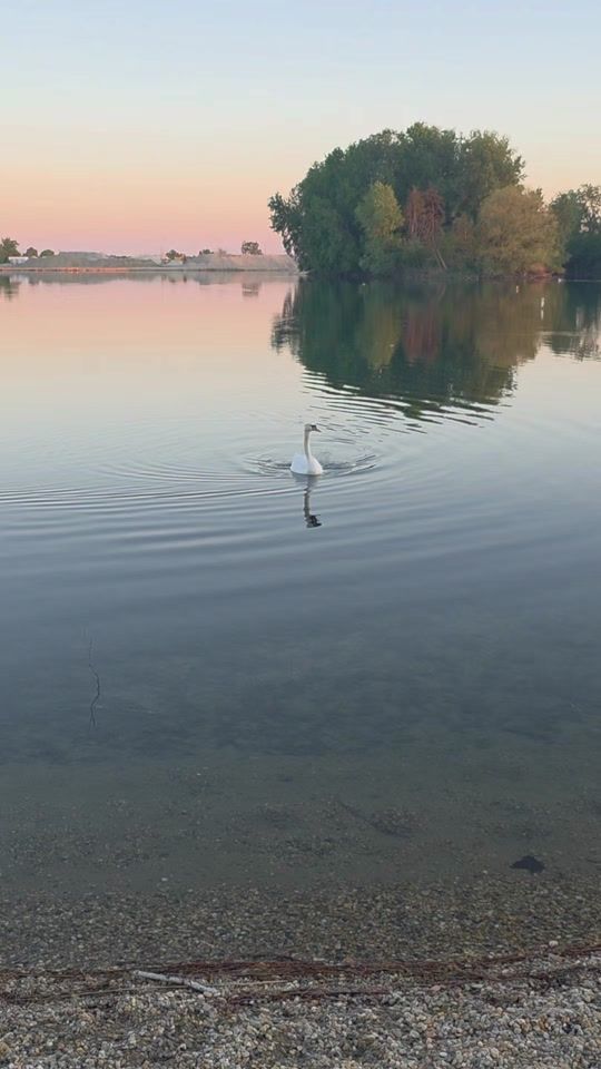 TikTok video thumbnail by zarkazarka50