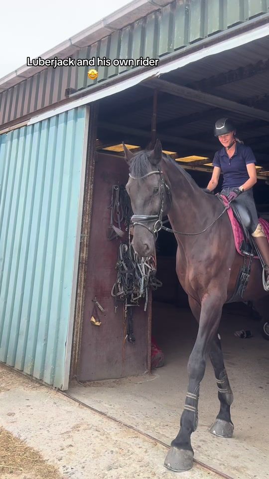 TikTok video thumbnail by equine.demi