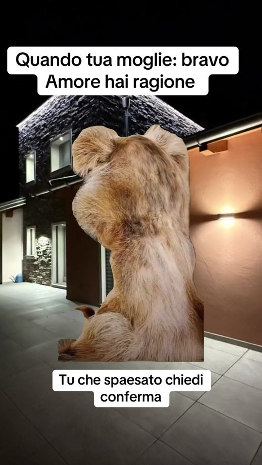 TikTok video thumbnail by chiccomedyshow