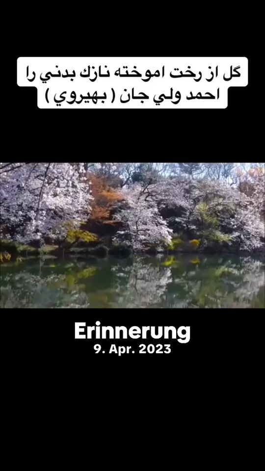 TikTok video thumbnail by khaledasultani