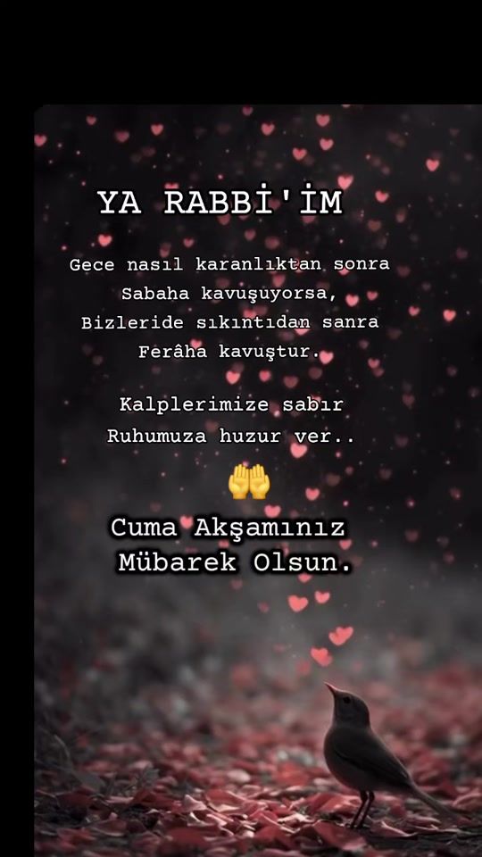TikTok video thumbnail by g.trn2434