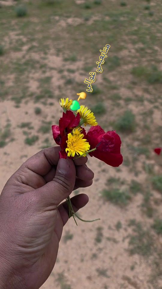 TikTok video thumbnail by abo.asmr.11