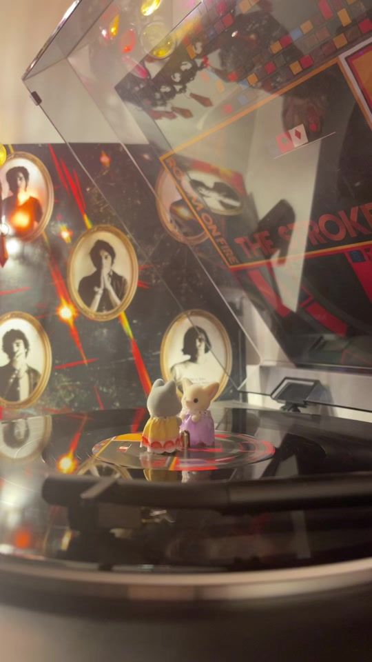 TikTok video thumbnail by spinningsylvanian