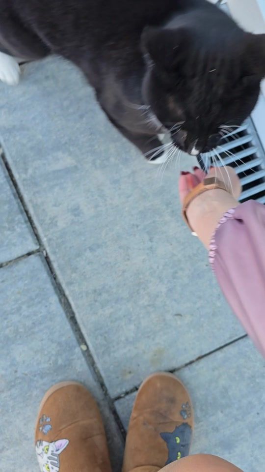 TikTok video thumbnail by apollo_und_cosmo