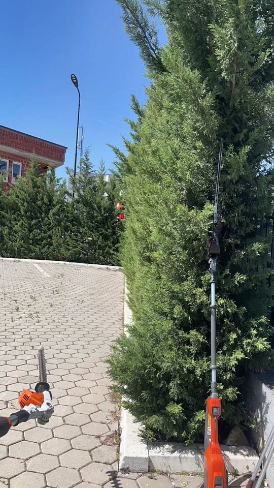 TikTok video thumbnail by agronikopshtar1