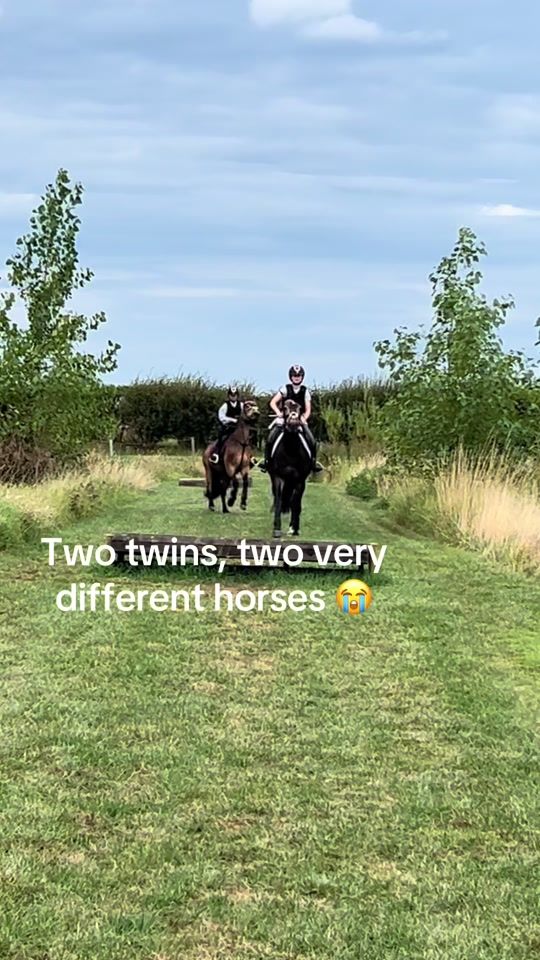 TikTok video thumbnail by showjumping148s