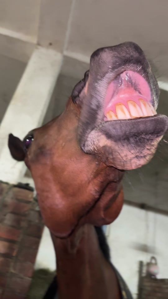 TikTok video thumbnail by _.svscherry._