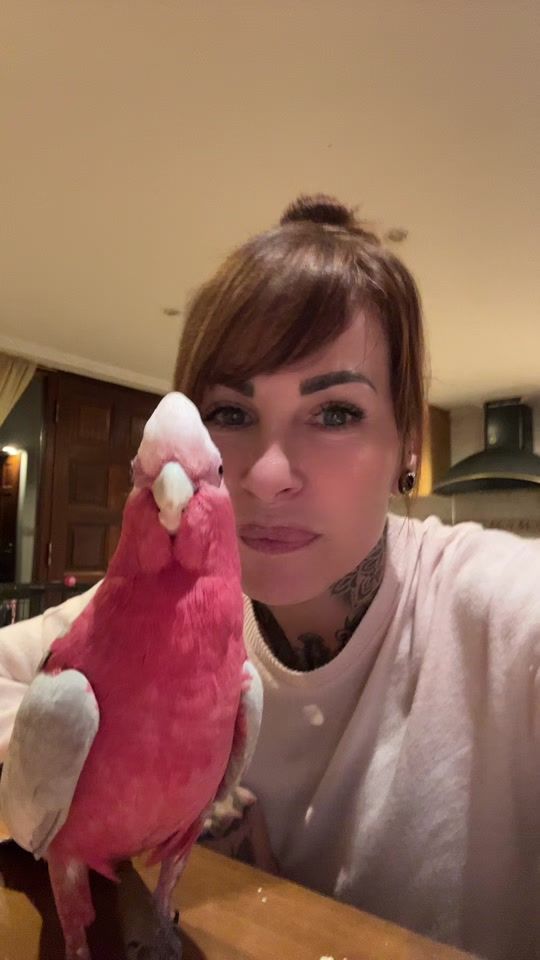 TikTok video thumbnail by yesshira