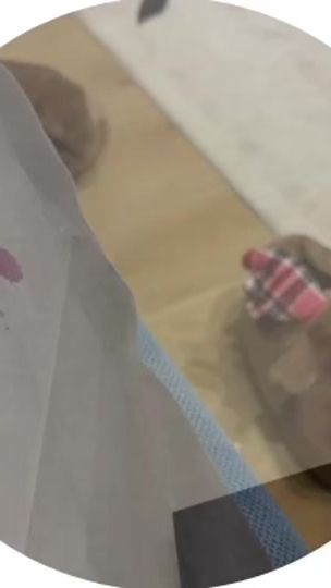 TikTok video thumbnail by rottiezz