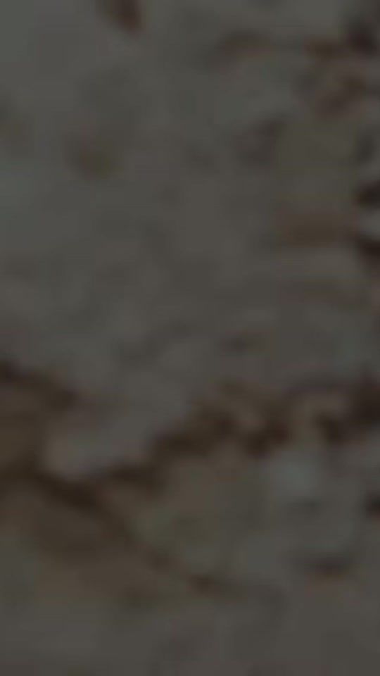 TikTok video thumbnail by dalmata483