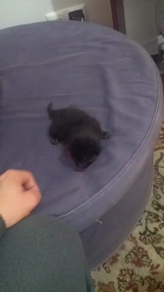TikTok video thumbnail by belenice.v