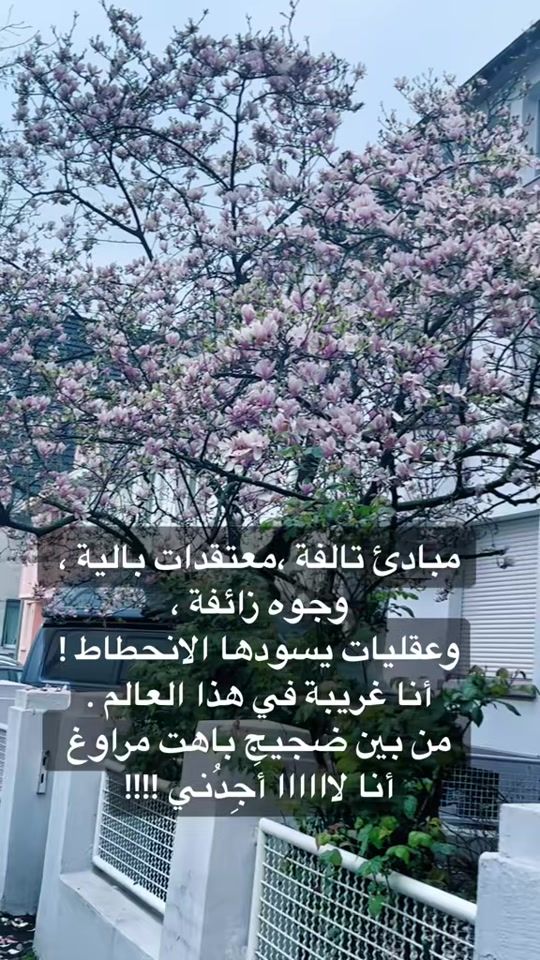 TikTok video thumbnail by batool_89_