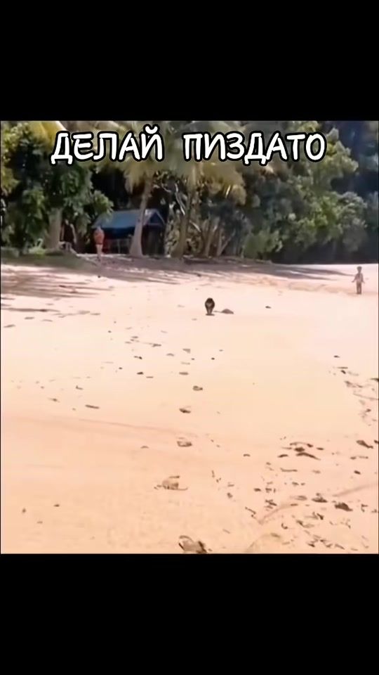 TikTok video thumbnail by murka.glamurka