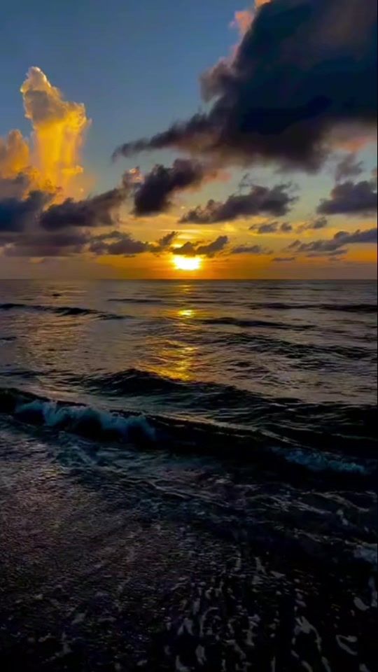 TikTok video thumbnail by wildnature_13