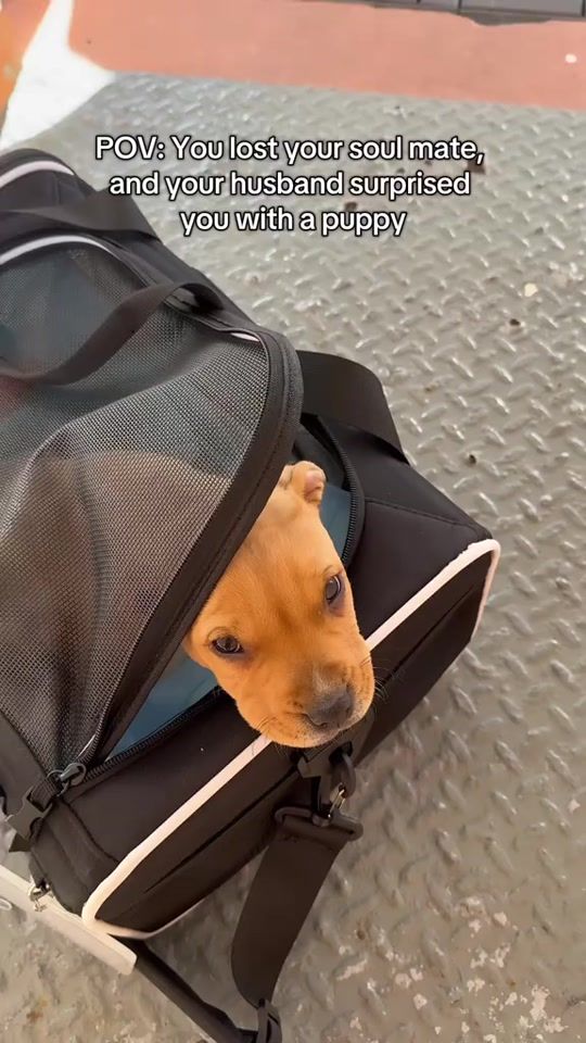 TikTok video thumbnail by kaja_macho