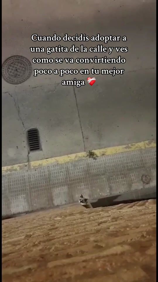 TikTok video thumbnail by carmenciil