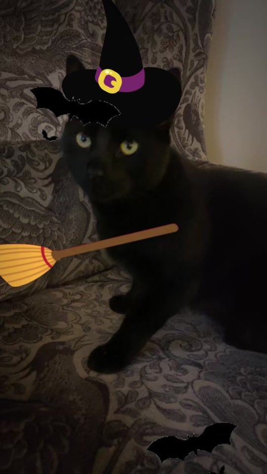 TikTok video thumbnail by honey88888888888