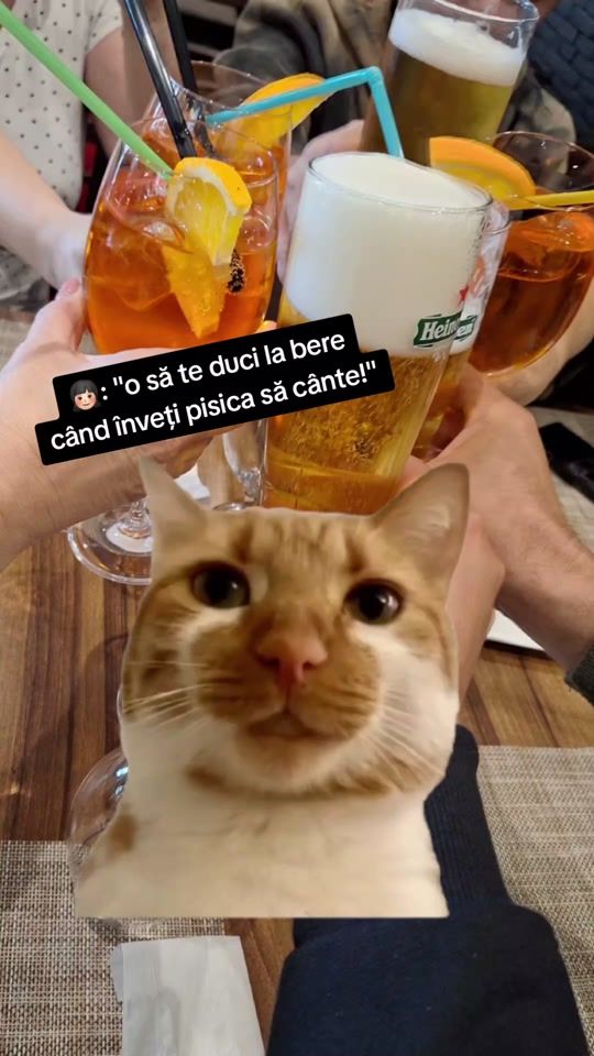 TikTok video thumbnail by antoniostefan.23