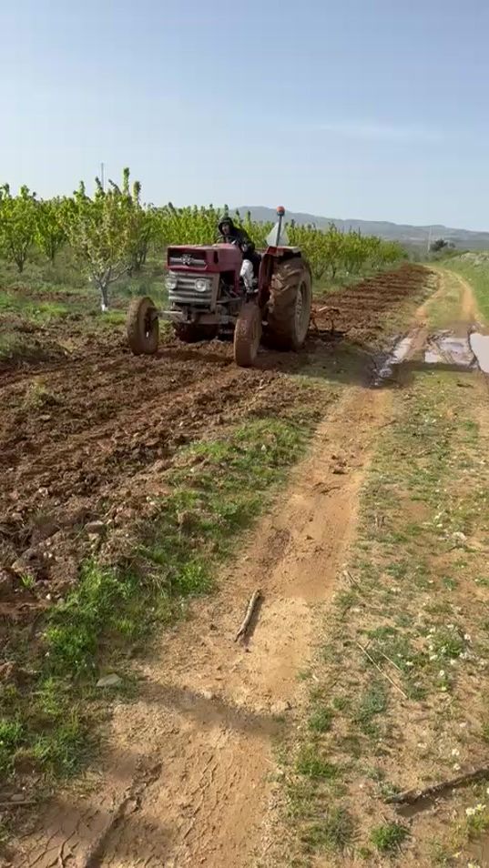 TikTok video thumbnail by nelsonpires83