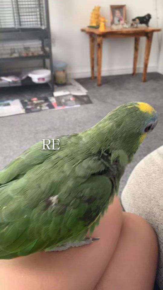 TikTok video thumbnail by grxceeversiii