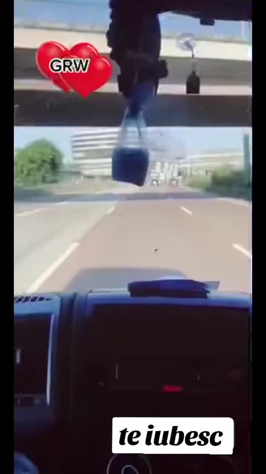 TikTok video thumbnail by danyela__grw247