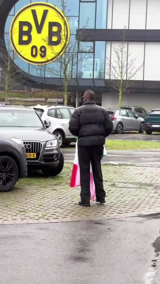 TikTok video thumbnail by tigertarabii