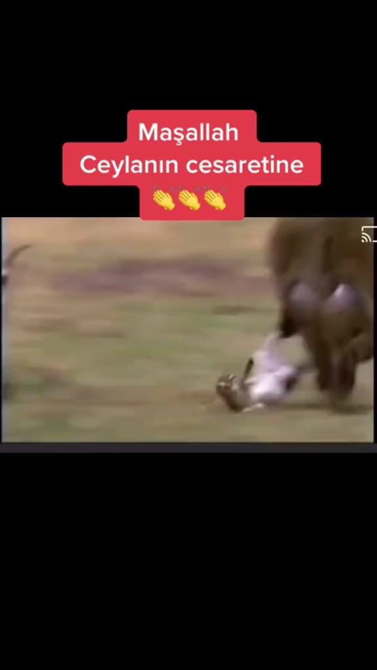 TikTok video thumbnail by __adem42