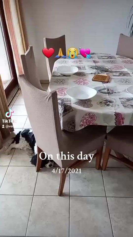 TikTok video thumbnail by verasumic