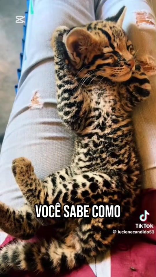 TikTok video thumbnail by bettypt_