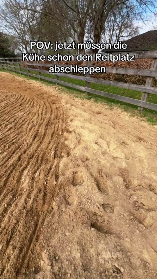 TikTok video thumbnail by de_koh_fruend