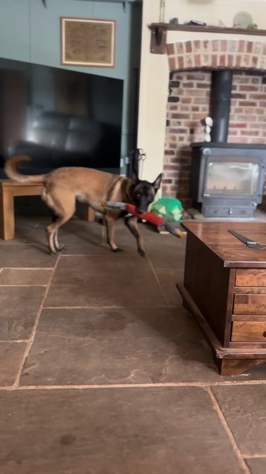 TikTok video thumbnail by bodiethemali