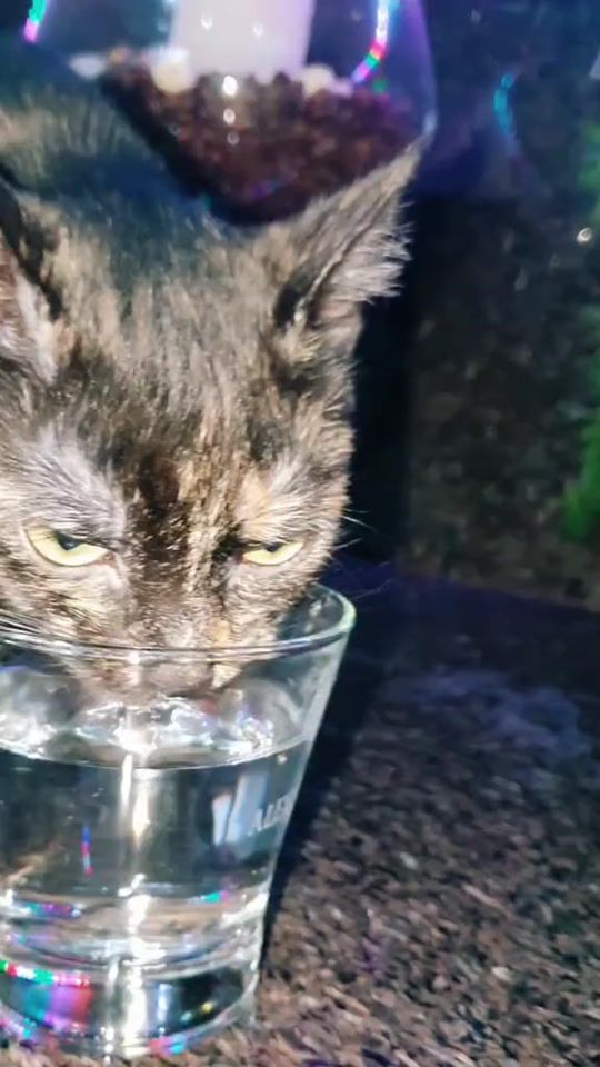 TikTok video thumbnail by murka.glamurka