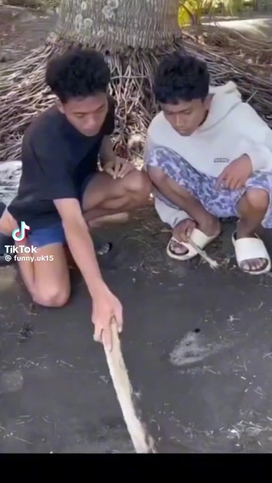 TikTok video thumbnail by zeusssss051