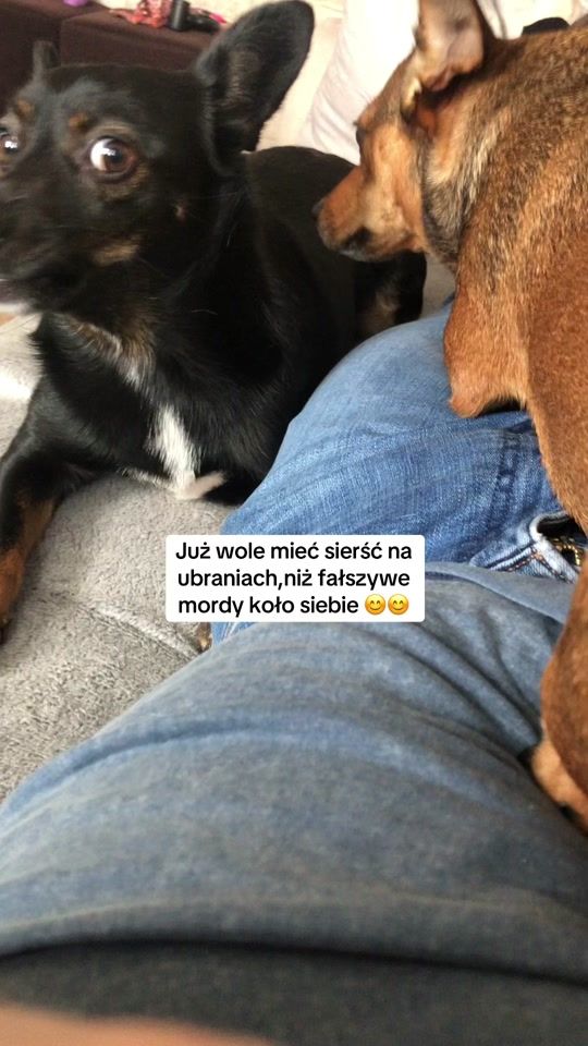 TikTok video thumbnail by hondziarz855