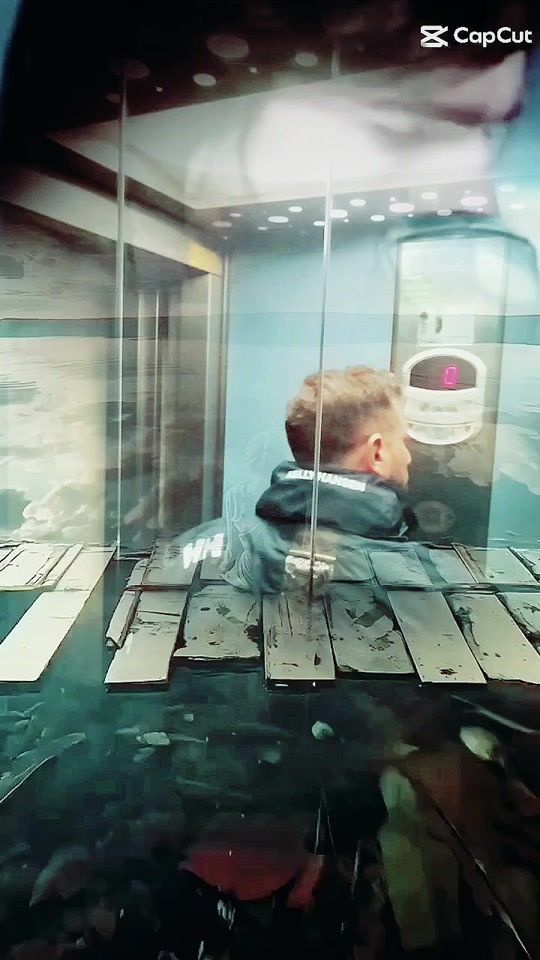 TikTok video thumbnail by dani_hijodelviento