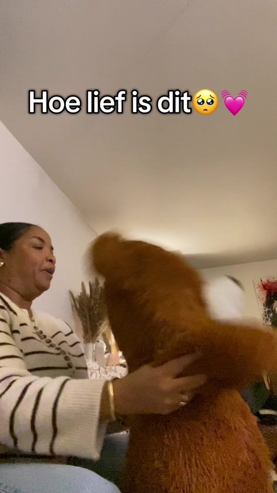 TikTok video thumbnail by jennyferross