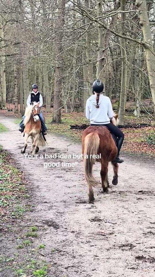 TikTok video thumbnail by equi_santje1
