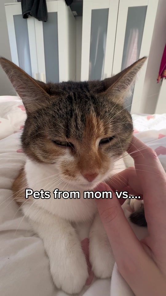TikTok video thumbnail by mrs.miuki